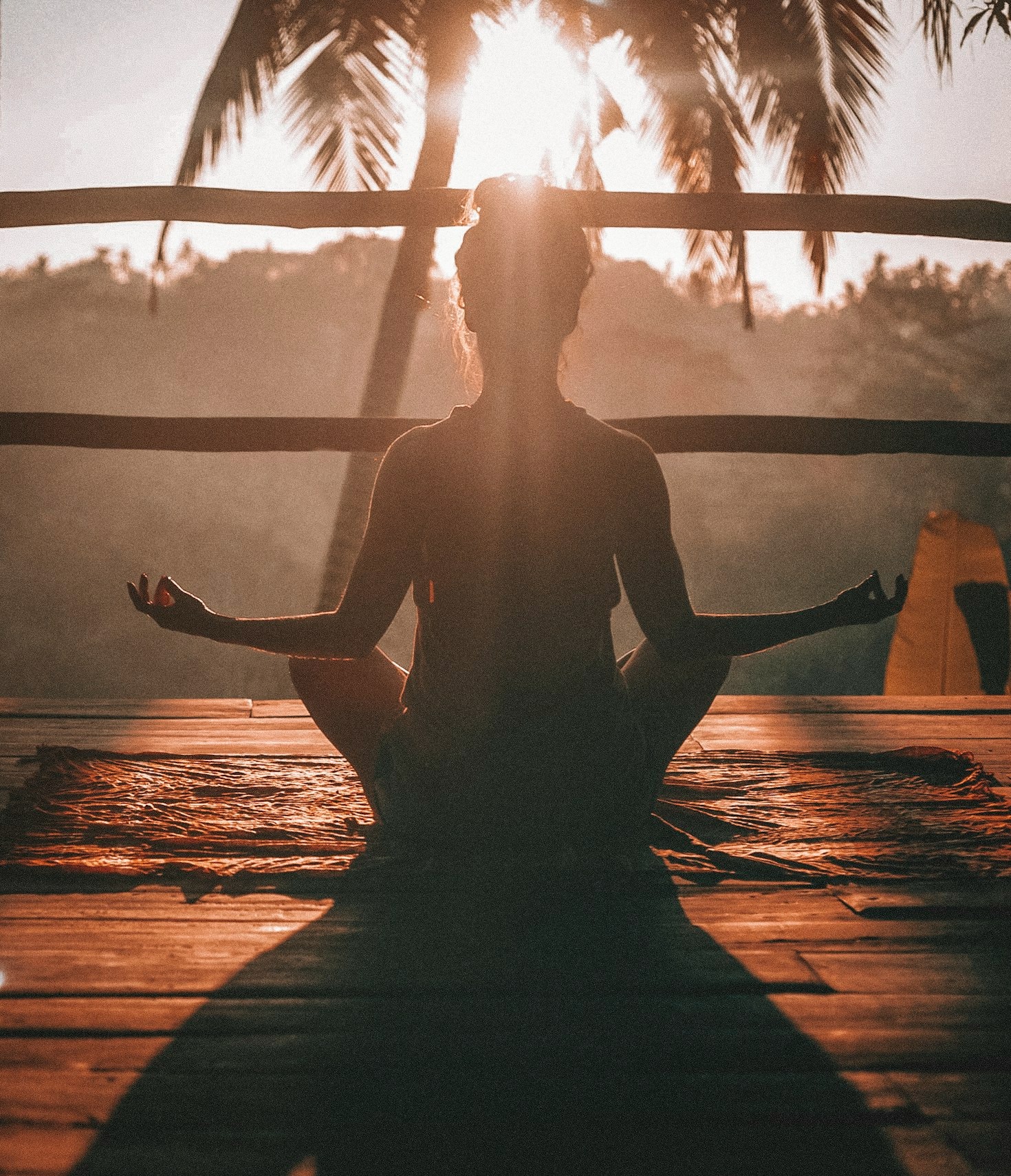 Qué es el desarrollo sustentable emocional